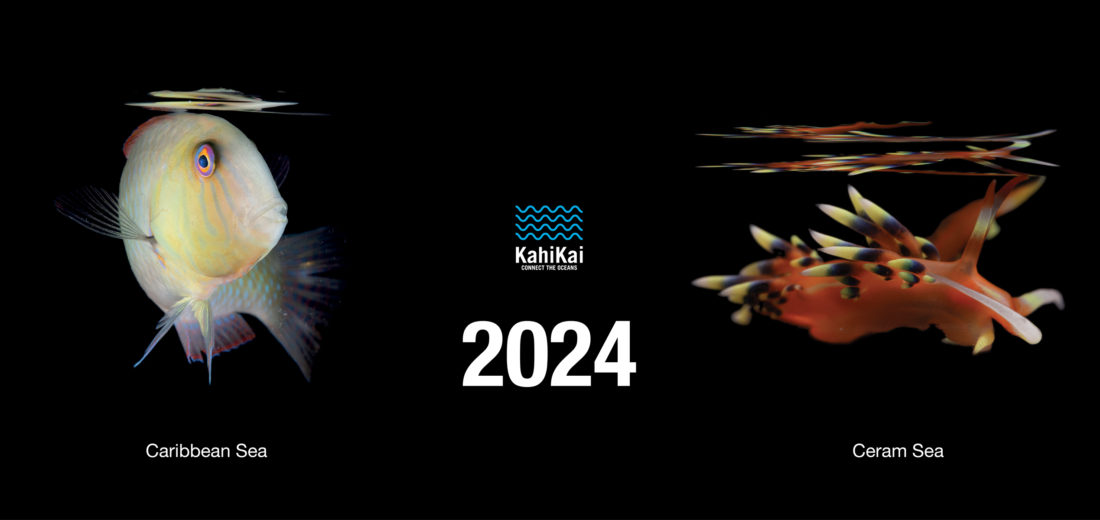 2024 Calendar promotion